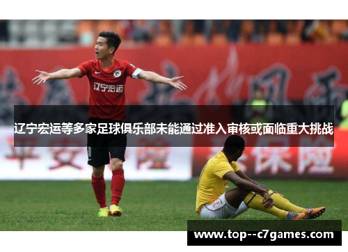 辽宁宏运等多家足球俱乐部未能通过准入审核或面临重大挑战