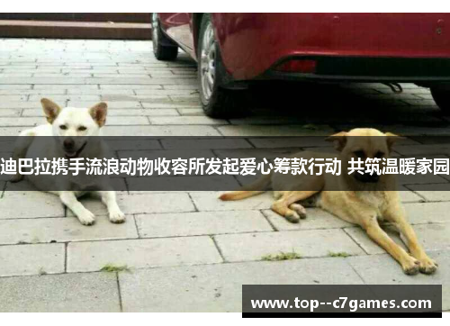 迪巴拉携手流浪动物收容所发起爱心筹款行动 共筑温暖家园