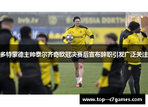 多特蒙德主帅泰尔齐奇欧冠决赛后宣布辞职引发广泛关注
